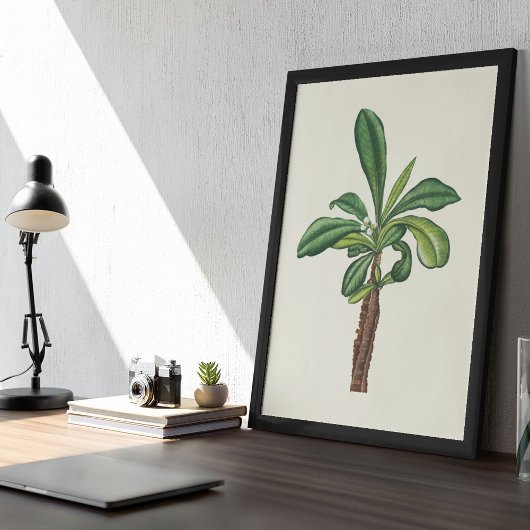 Waterverf Antiek Botanische Cactus Print Poster