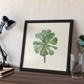 Waterverf Antiek Botanische Cactus Print Poster
