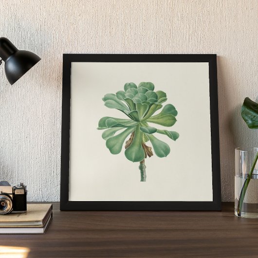 Waterverf Antiek Botanische Cactus Print Poster