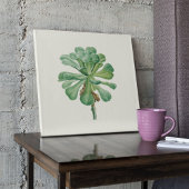 Waterverf Antiek Botanische Cactus Print Poster