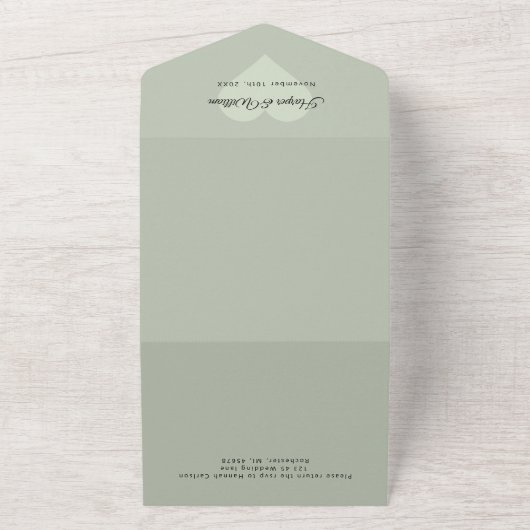 Waterverf appels envelop bruiloft all in one uitnodiging (Buitenkant)