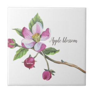 Waterverf Apple Blossom Botanisch Tegeltje