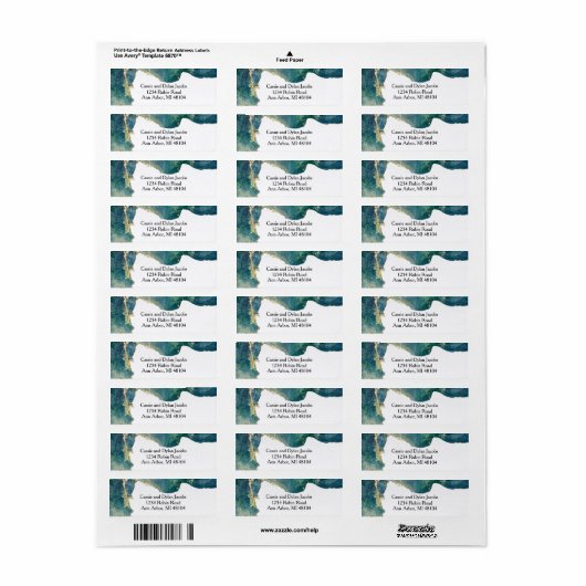 Waterverf Aqua Return-adreslabel Etiket (Full Sheet)