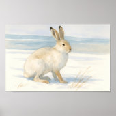 Waterverf Arctic Hare Art Poster (Voorkant)