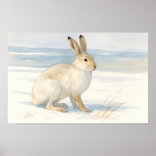 Waterverf Arctic Hare Art Poster (Voorkant)