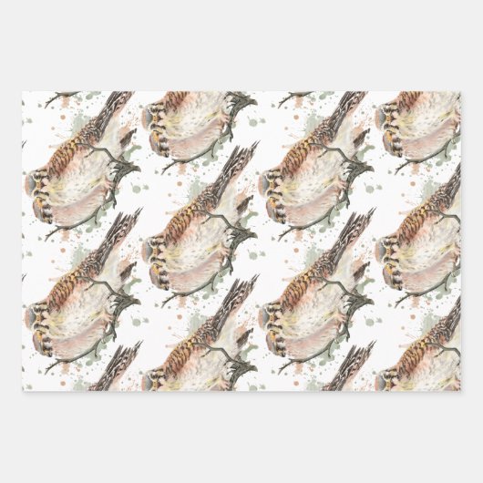 Waterverf Art Birding Kestrel Couple Inpakpapier Vel (Voorkant 3)