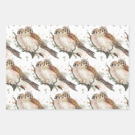 Waterverf Art Birding Kestrel Couple Inpakpapier Vel