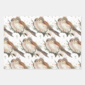 Waterverf Art Birding Kestrel Couple Inpakpapier Vel (Voorkant)