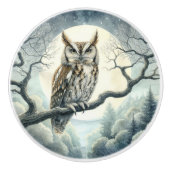 Waterverf Art Screech Uil Keramische Knop (Voorkant)