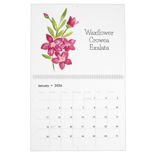 Waterverf Australian Native Flowers Kalender (Jan 2026)