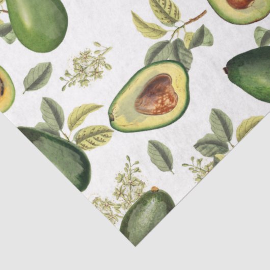 Waterverf Avocado Botanische Patroon Tissuepapier (Detail)