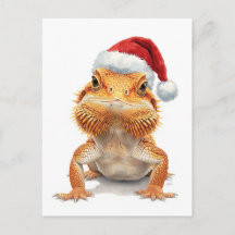 Waterverf Baardagaam in Kerstmuts