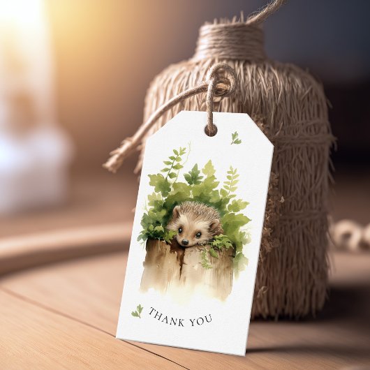 Waterverf Baby Hedgehog Baby shower Cadeaulabel