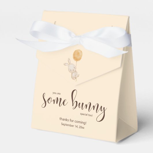 Waterverf Balloon Bunny Baby shower Party Favoriet Bedankdoosjes (Voorkant Zijde)