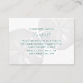 Waterverf band dollar op website - Gegevens Informatiekaartje (Voorkant)