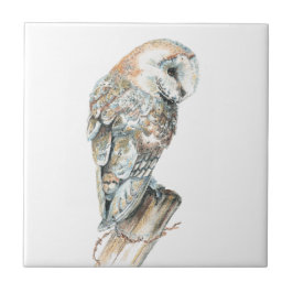 Waterverf Barn Owl Bird Art Tegeltje