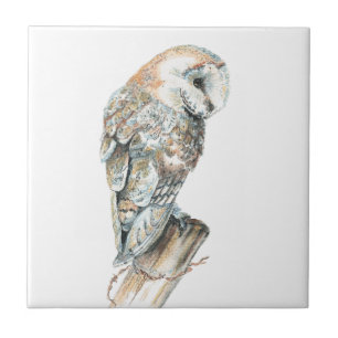 Waterverf Barn Owl Bird Art Tegeltje