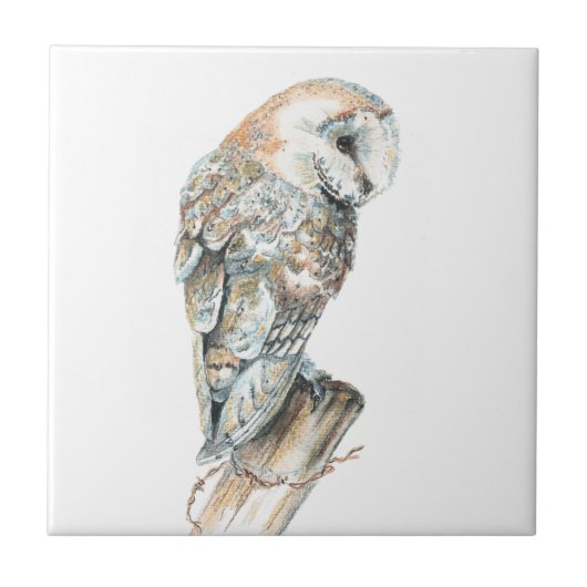 Waterverf Barn Owl Bird Art Tegeltje (Voorkant)