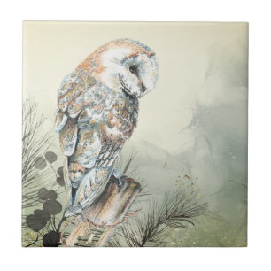 Waterverf Barn Owl Bird Art Tile Tegeltje