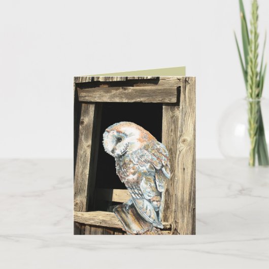 Waterverf Barn Owl Bird Natuur Wildlife Art Feestdagen Kaart (Voorkant)