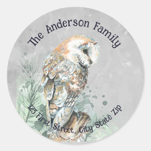 Waterverf Barn Owl Bird Natuur Wildlife Art Ronde Sticker (Voorkant)