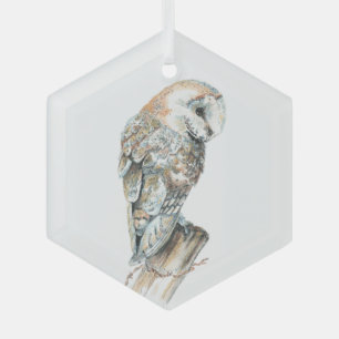 Waterverf Barn Owl Bird Wildlife Natuur Art Glas Ornament