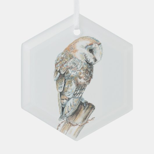 Waterverf Barn Owl Bird Wildlife Natuur Art Glas Ornament (Voorkant)