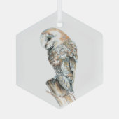Waterverf Barn Owl Bird Wildlife Natuur Art Glas Ornament (Achterkant)