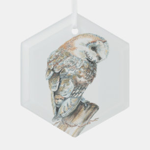 Waterverf Barn Owl Bird Wildlife Natuur Art Glas Ornament