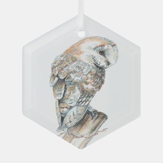 Waterverf Barn Owl Bird Wildlife Natuur Art Glas Ornament (Voorkant)