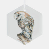 Waterverf Barn Owl Bird Wildlife Natuur Art Glas Ornament (Achterkant)