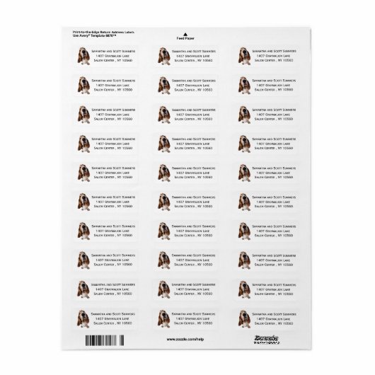 Waterverf Basset Hound Dog Return-adres Etiket (Full Sheet)