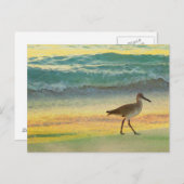 Waterverf Beach Sunset met Sandpiper Briefkaart (Voorkant / Achterkant)