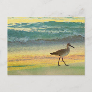 Waterverf Beach Sunset met Sandpiper Briefkaart