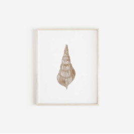 Waterverf beige zeeschelp print