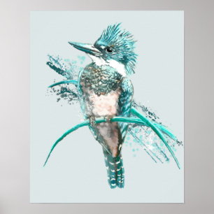Waterverf Belted Kingfisher Bird Animal Poster