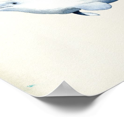 Waterverf Beluga Whale Poster (Hoek)