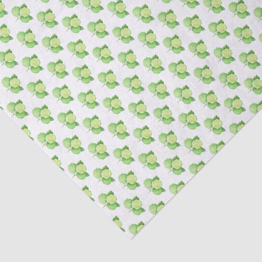 Waterverf Bergamot Citrus Patroon Tissuepapier (Detail)