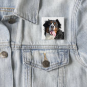 Waterverf Berner Berghond Button (In situ)