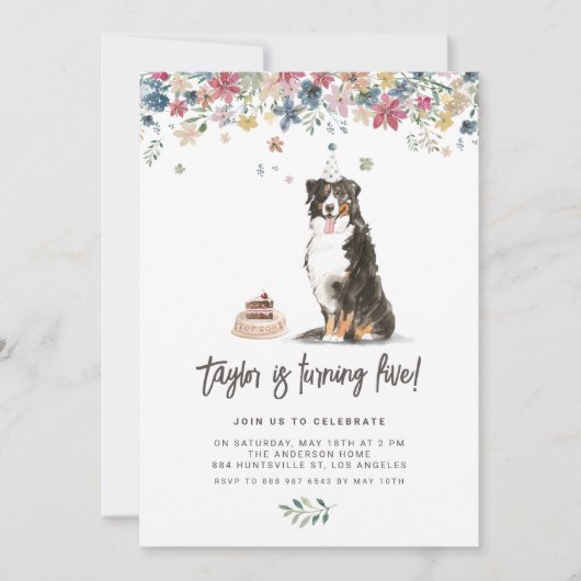  Waterverf Berner Berghond Verjaardag Kaart (Voorkant)