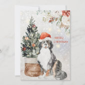 Waterverf Bernese Mountain Dog Kerstmis Feestdagenkaart (Voorkant)
