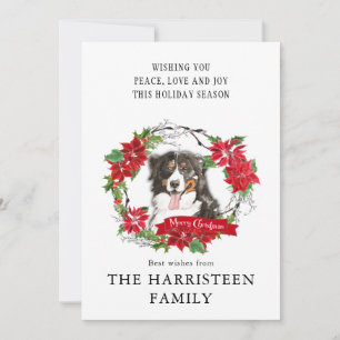 Waterverf Bernese Mountain Dog Poinsettia Wreath Feestdagenkaart