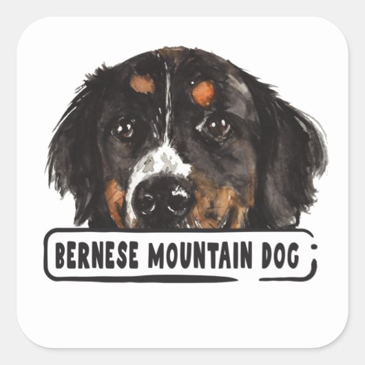 Waterverf Bernese Mountain Dog Square Sticker (Voorkant)