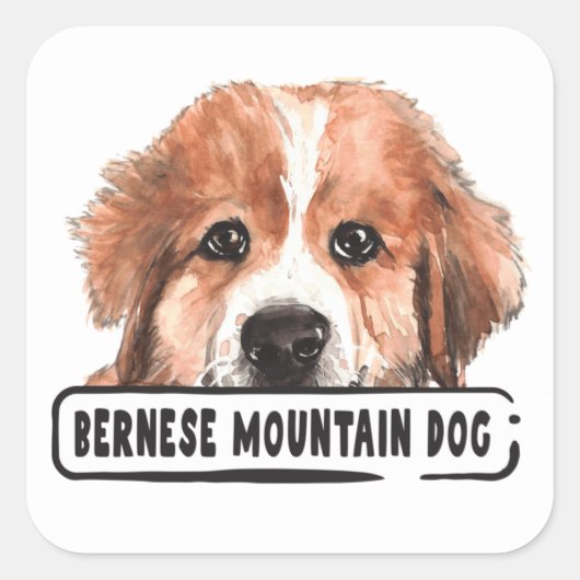 Waterverf Bernese Mountain Dog Vierkante Sticker (Voorkant)