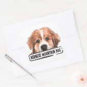 Waterverf Bernese Mountain Dog Vierkante Sticker (Envelop)