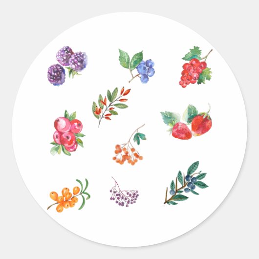 Waterverf Berries en wilde bessen Ronde Sticker (Voorkant)