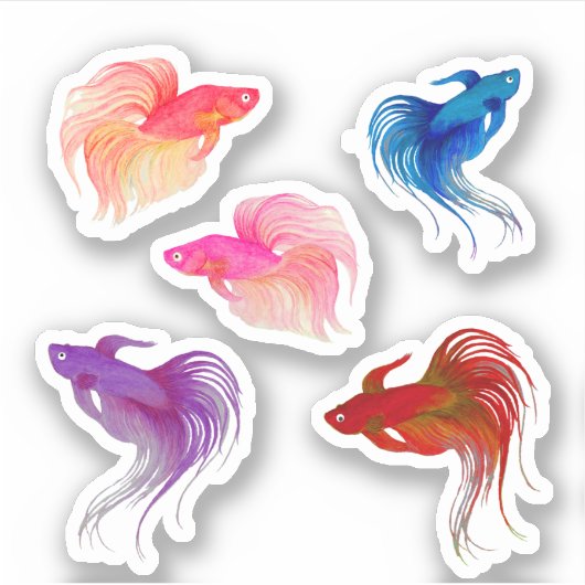 Waterverf Betta Fish Sticker (Voorkant)