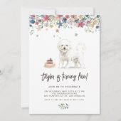  Waterverf Bichon Frise Dog Verjaardagsfeestje Kaart (Voorkant)