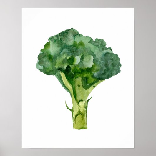 Waterverf biologische radijs poster (Voorkant)