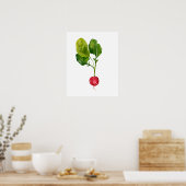 Waterverf biologische radijs poster (Keuken)